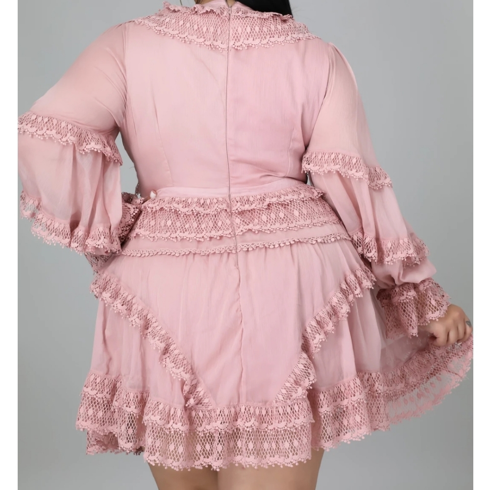 Gorgeous blush pink lace hem plus size dress - Picture 5 of 9